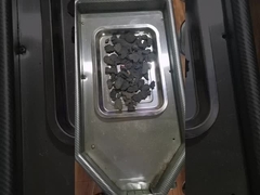 পলিগনাম মাল্টিফ্লোরাম পাউডার