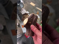 ঔষধী উদ্ভিদ